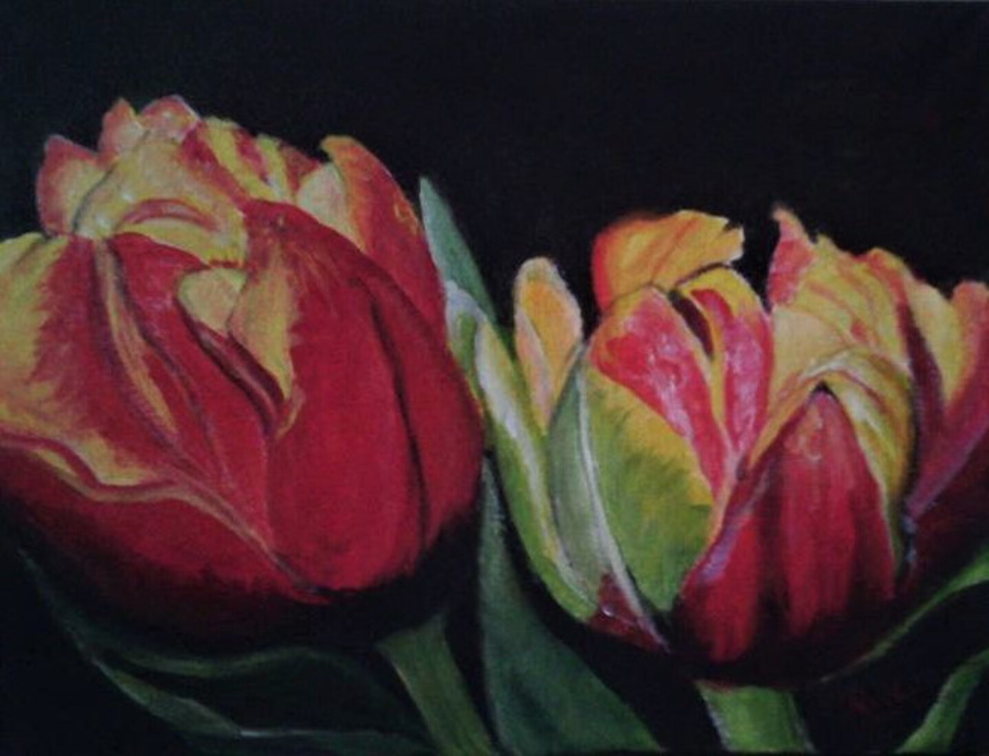 tulpen