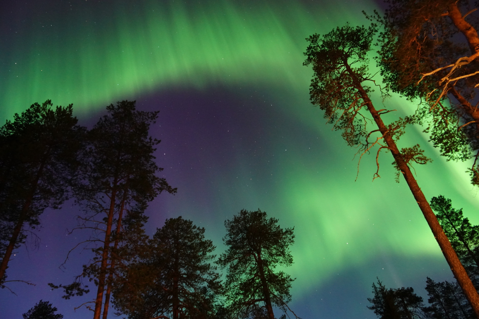 Noorderlicht in Lapland