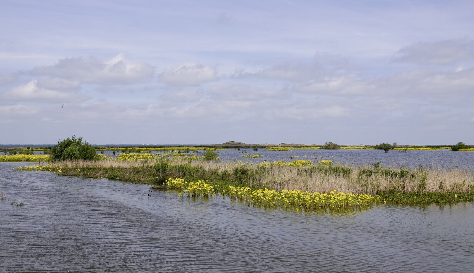 Markerwadden