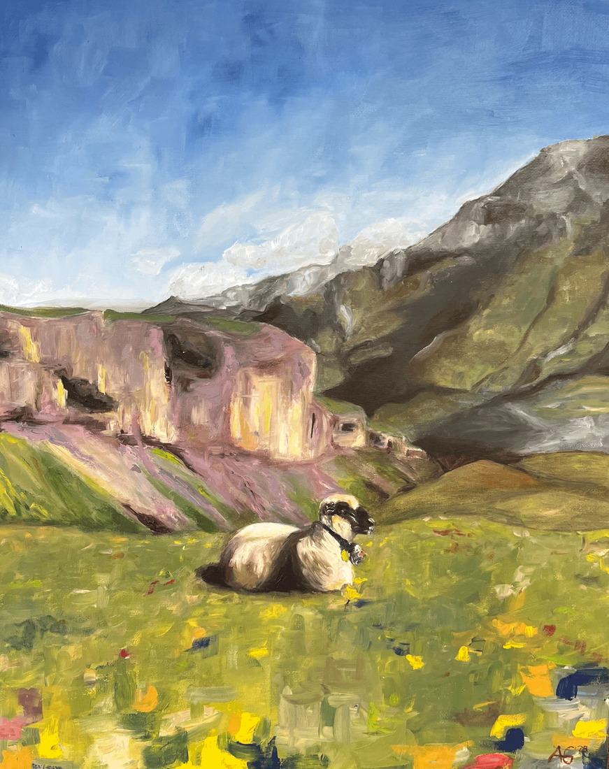 Schaap in Zwitserse Alpen