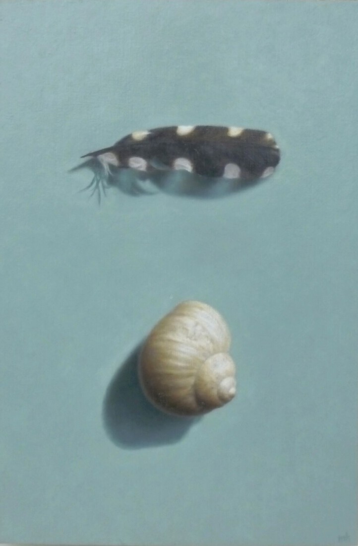 Schelp en veer van een bonte specht