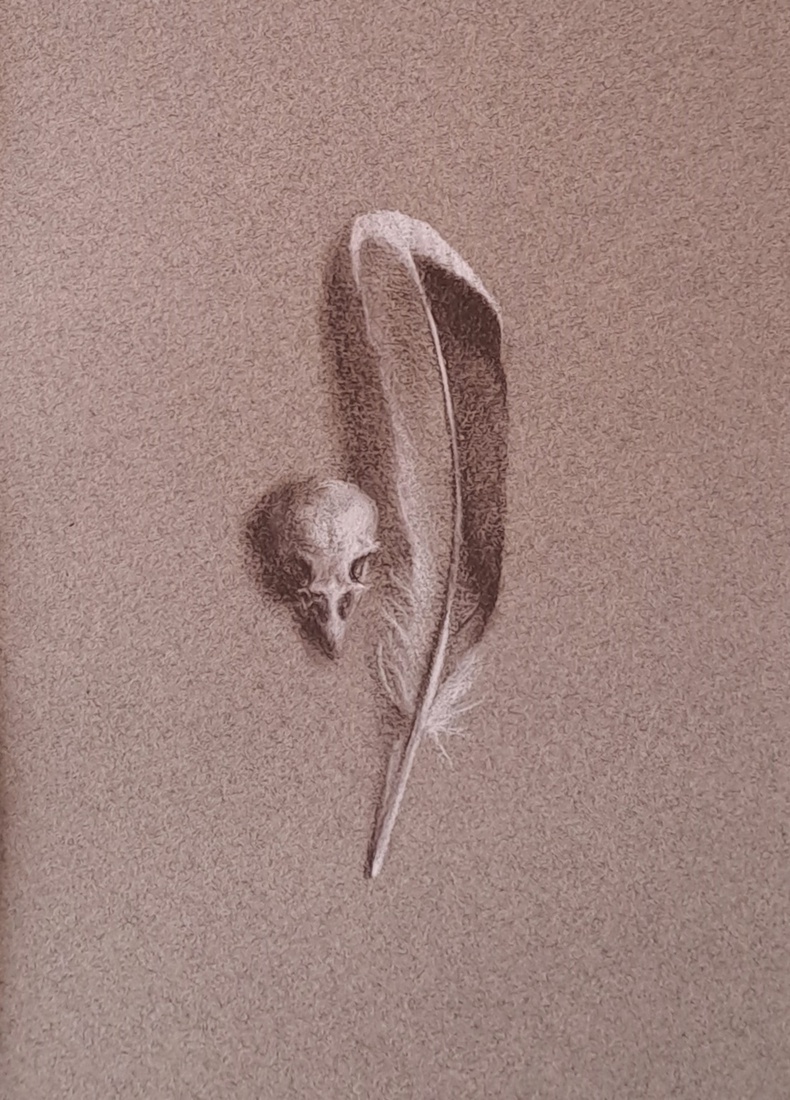 Duivenschedel en eendenveer