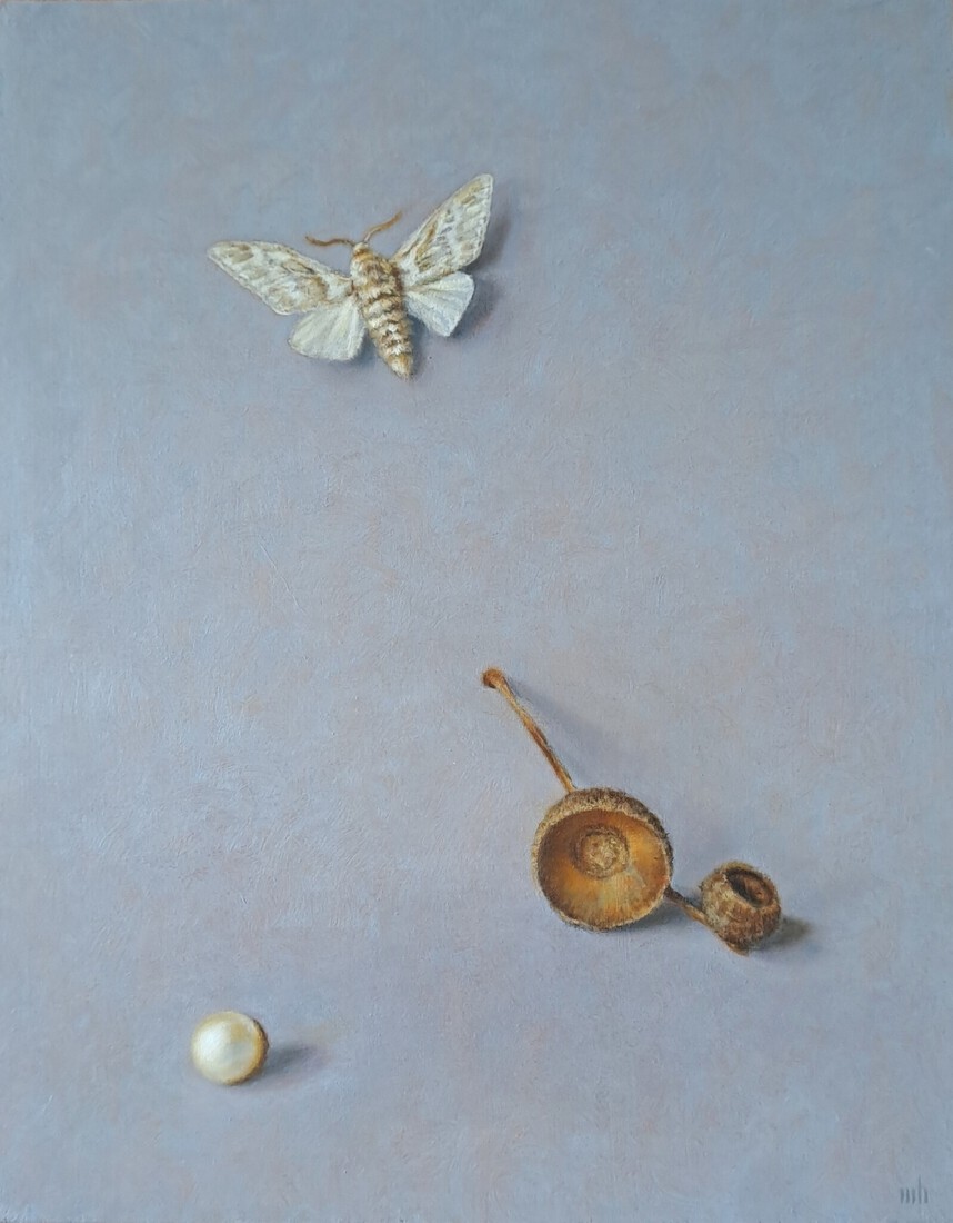 parel, mot en eikeldopjes