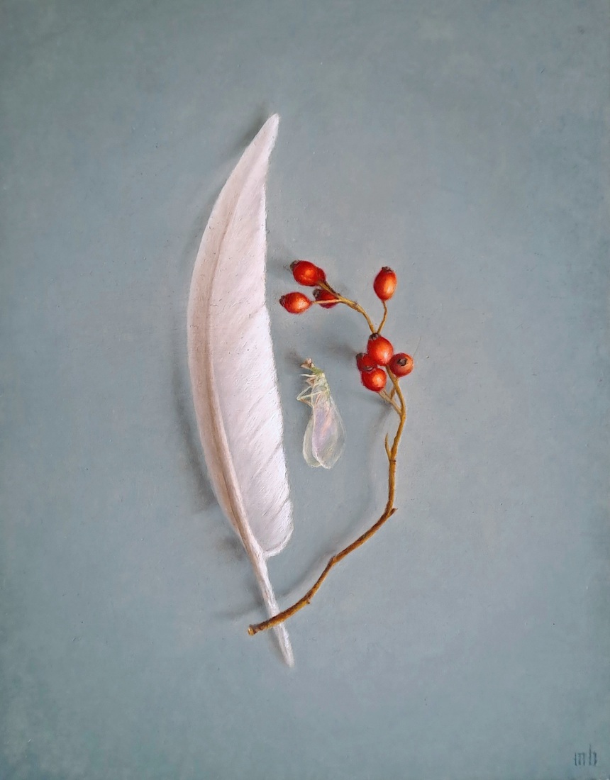 Rozenbottels, ganzenveer en insect