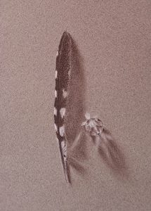 Krijt tekeningen in sepia en wit