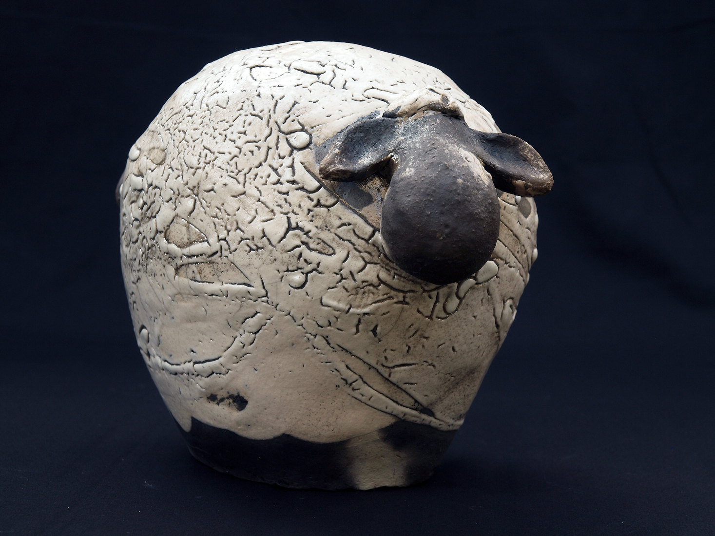 Het Geschoren Schaap