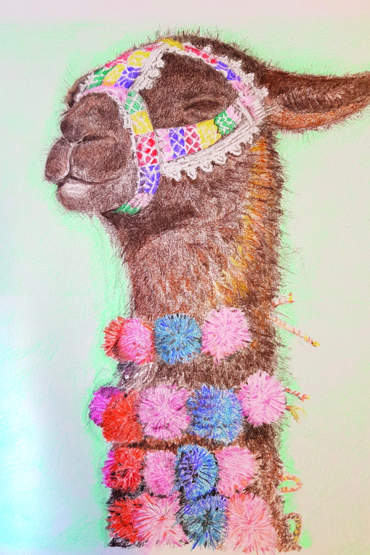 Alpaca 2