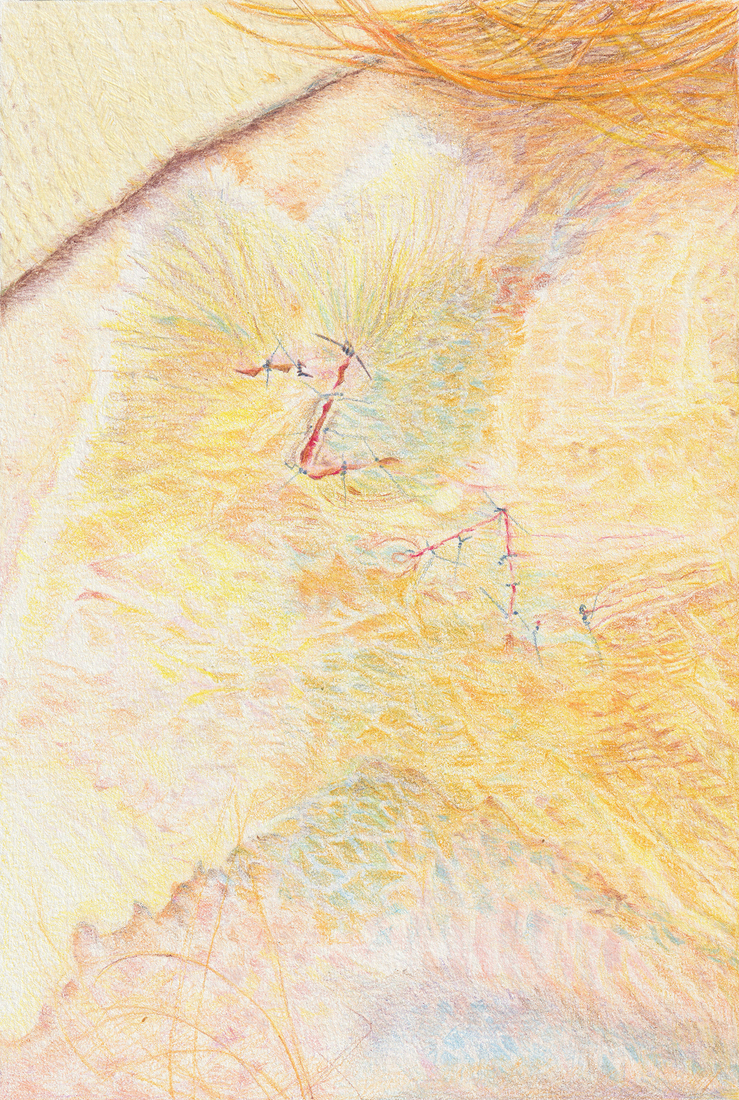Huidlandschap 30