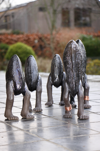 het boeiende universum van de landmossel , ontsnapt uit de zee en uit de greep van mosselboeren.
