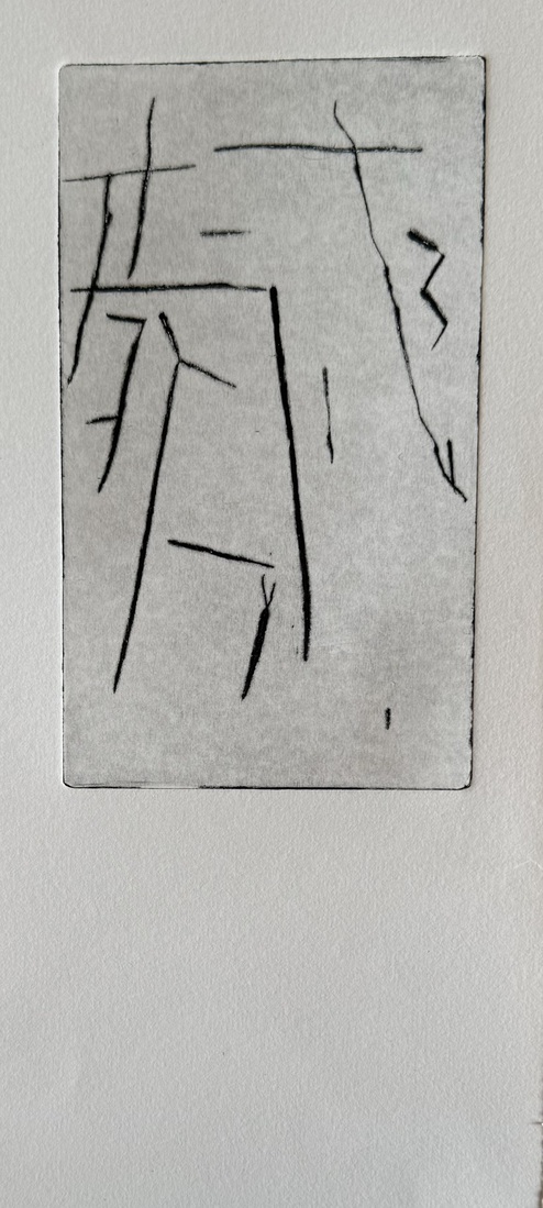 Droge naald (26