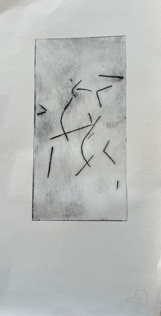 Droge naald (33)