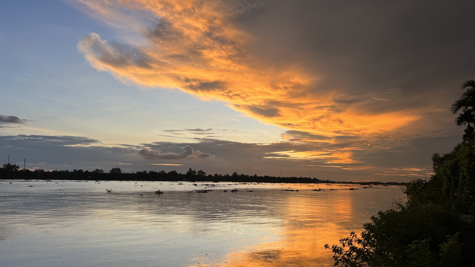 Mekong Delta