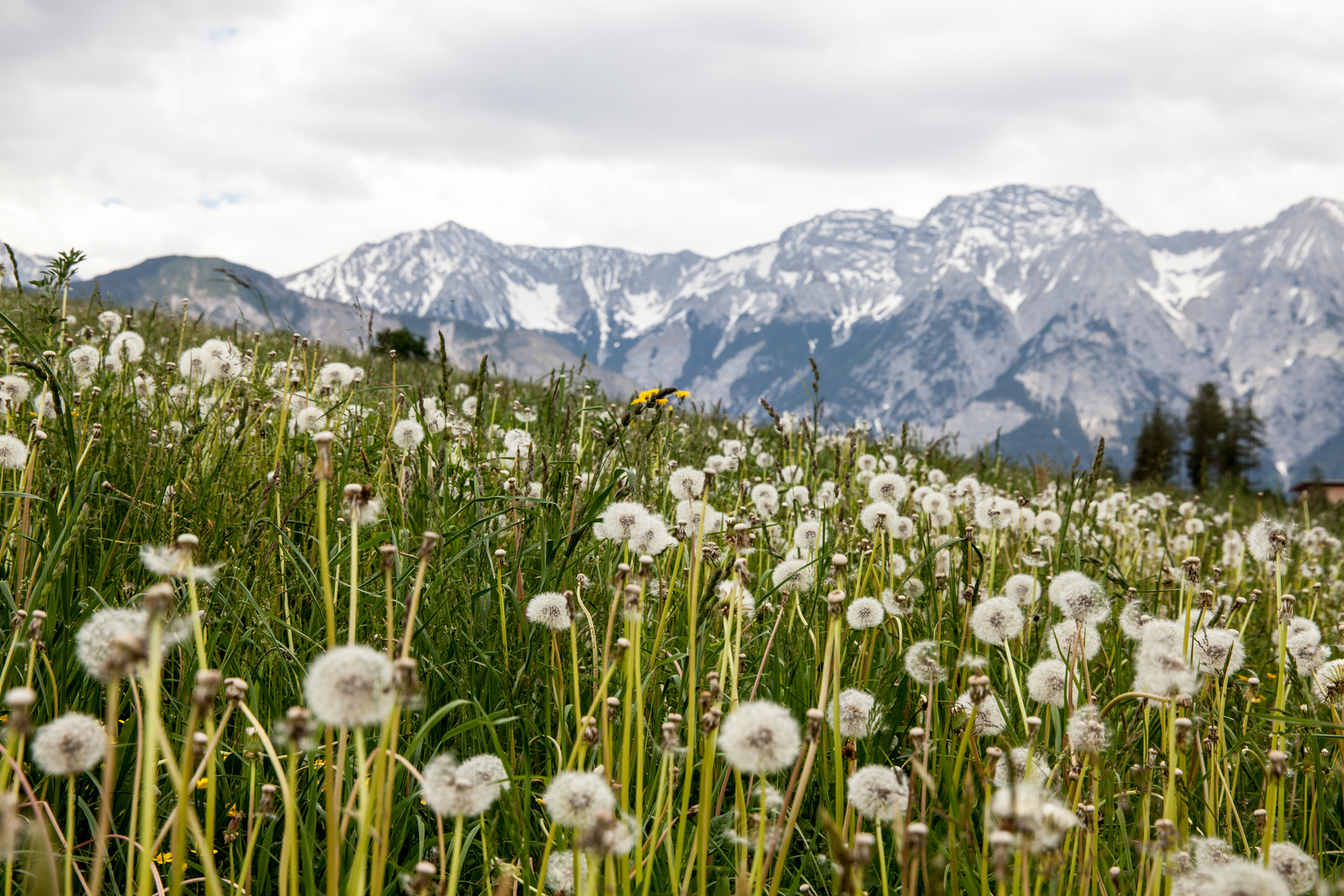 Tirol