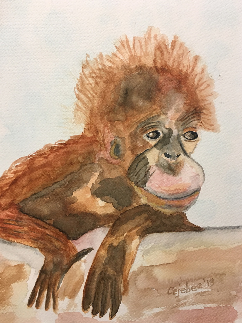 Orang Oetang heel los