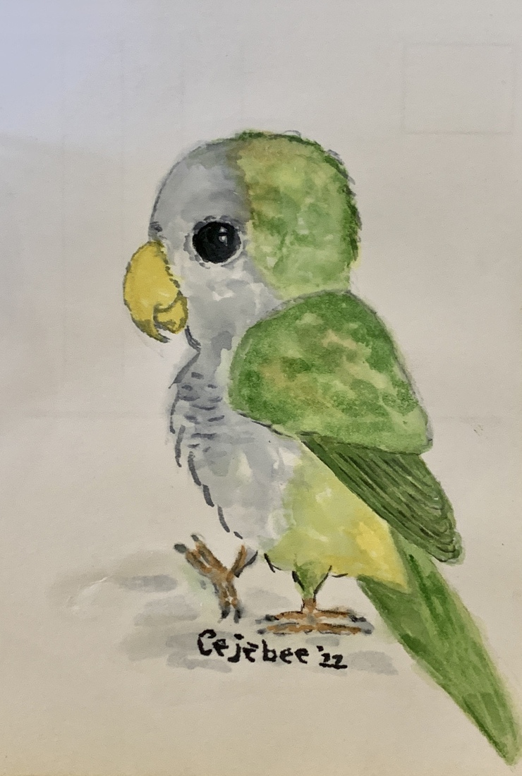 Papegaaitje airbrush