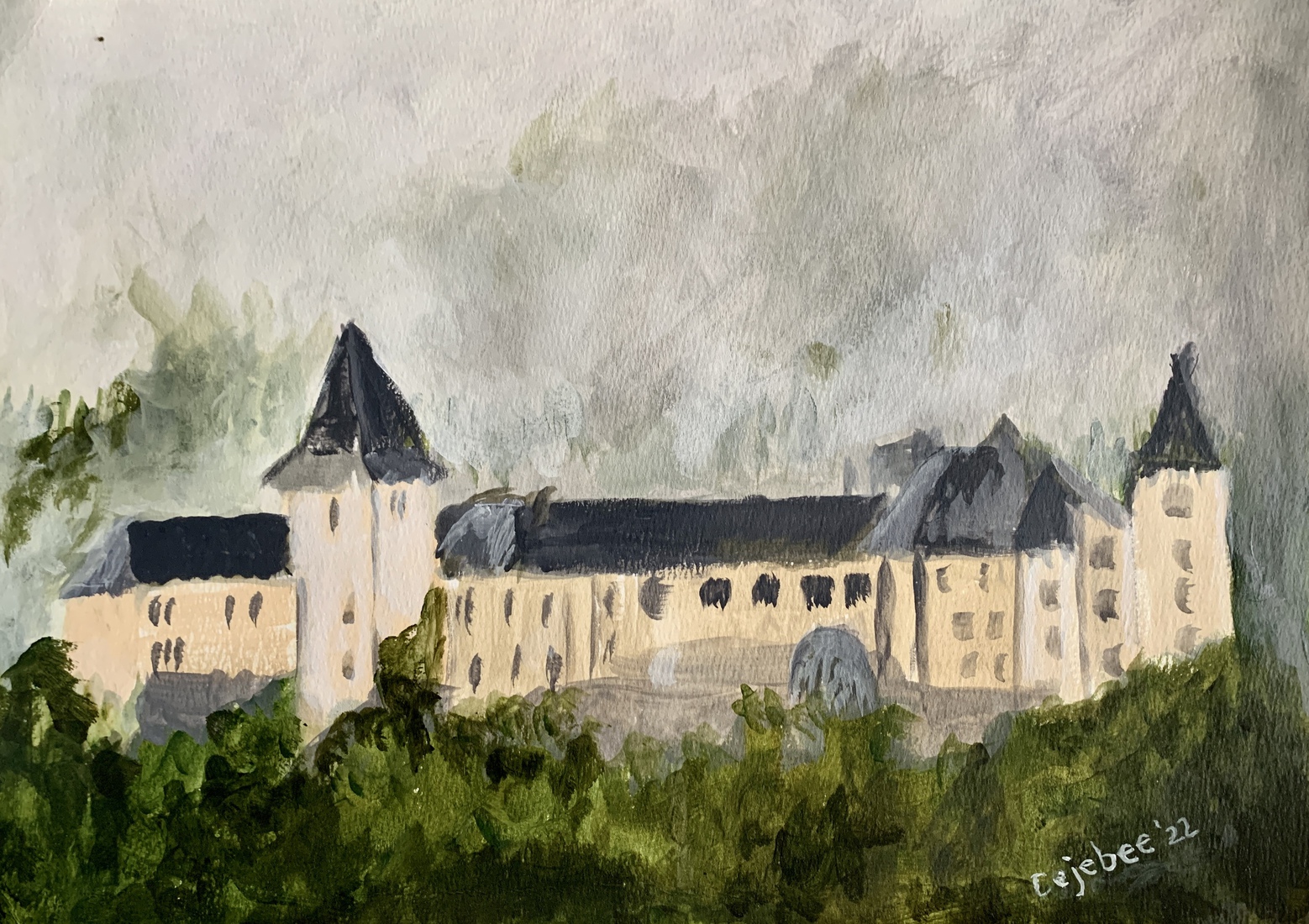 Kasteel in België - net over de grens