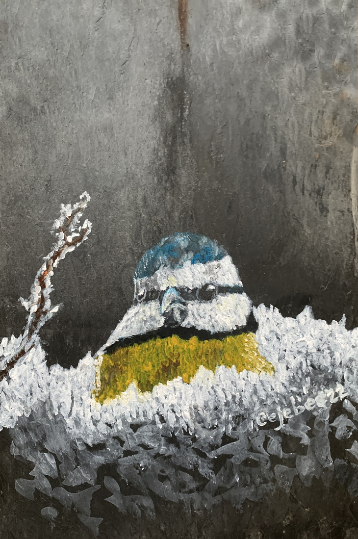 Pimpelmees op oude lei