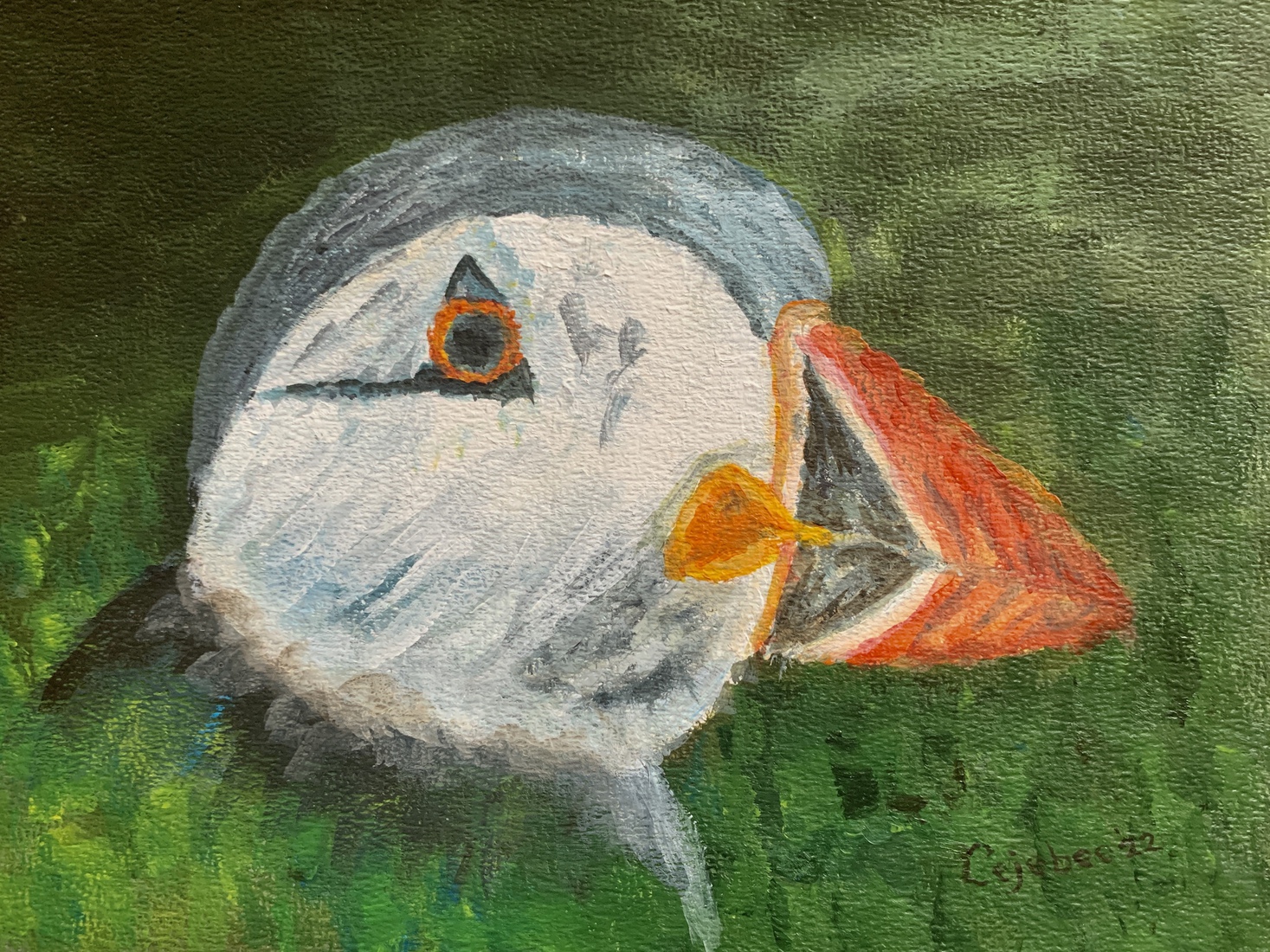 Papegaaiduiker nummer 1 op oude lei