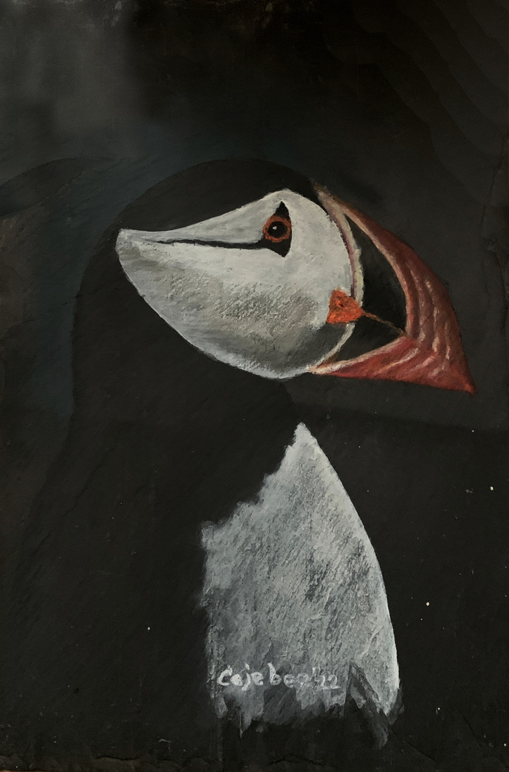 Papegaaiduiker nummer 3 op oude lei