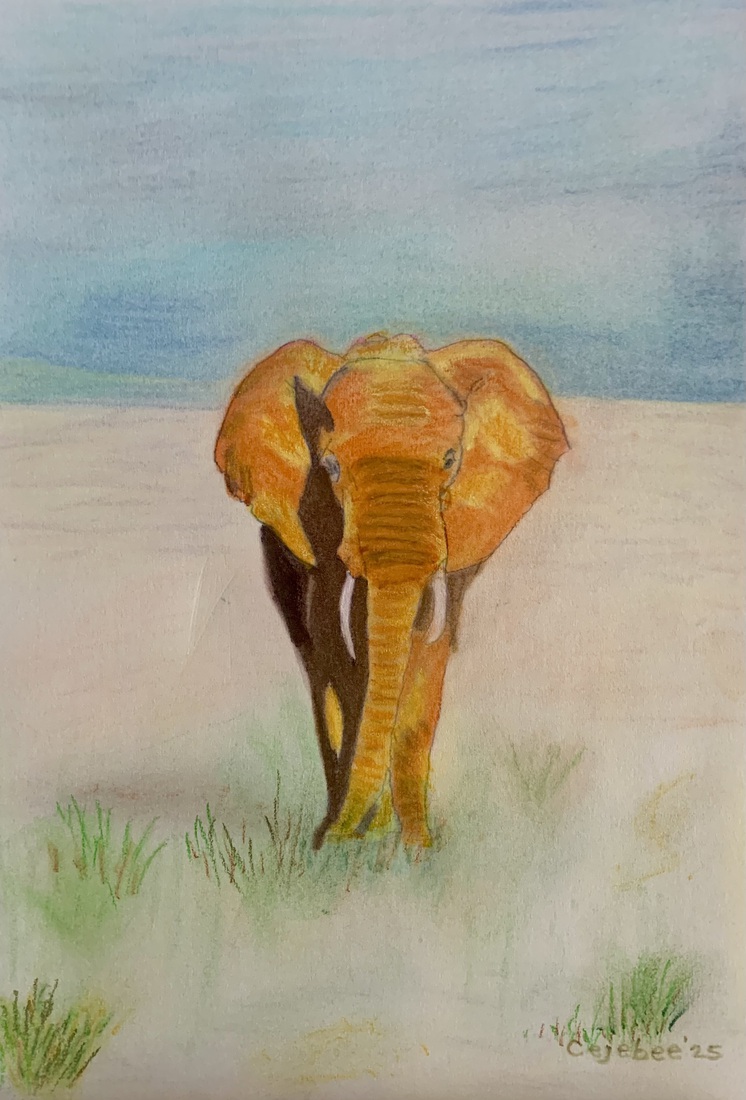 Een ‘ruwe’ olifant