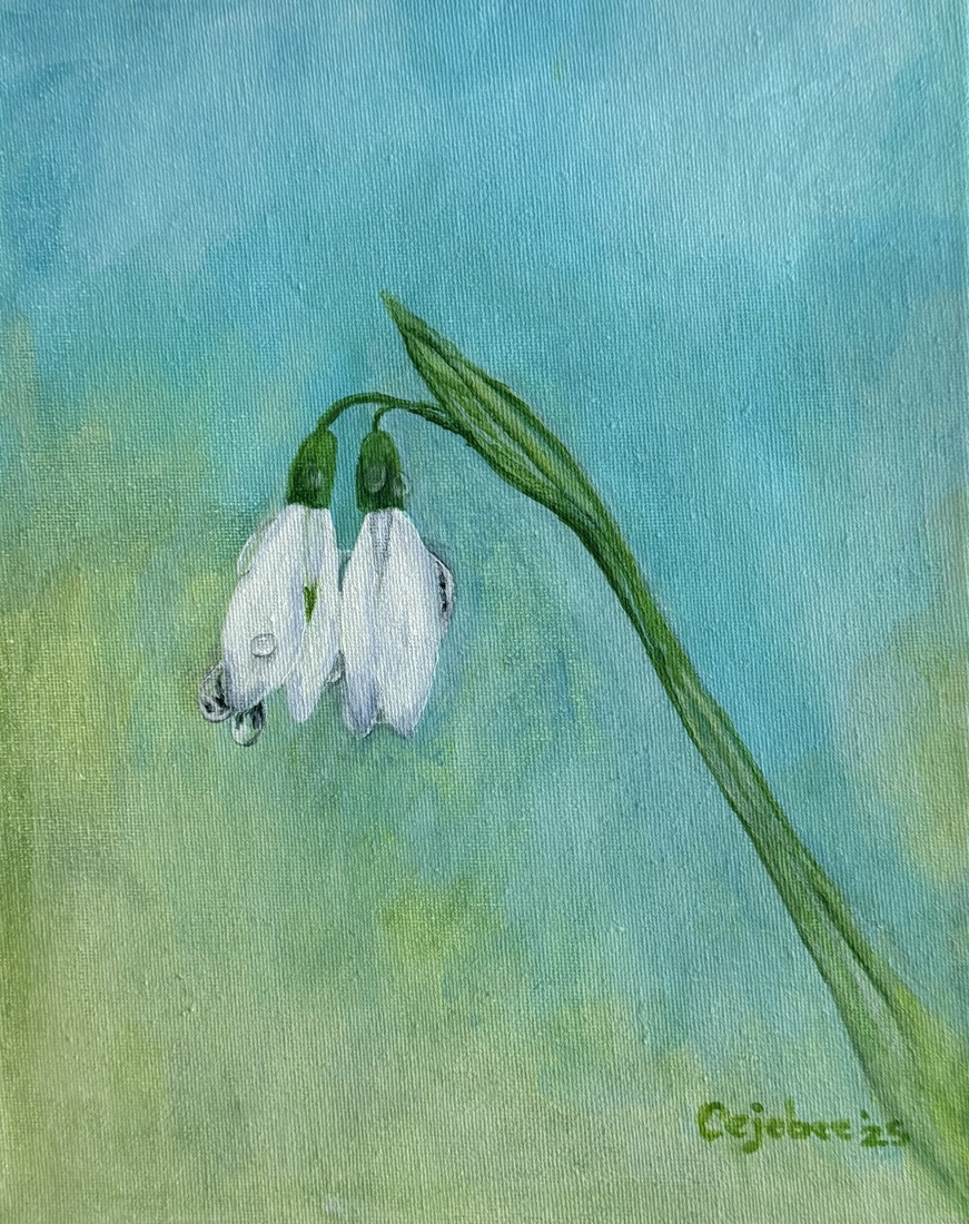 Sneeuwklokje na een bui