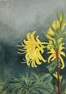 Olieverf schilderijen 50-70 op paneel van close-ups uit de natuur. 