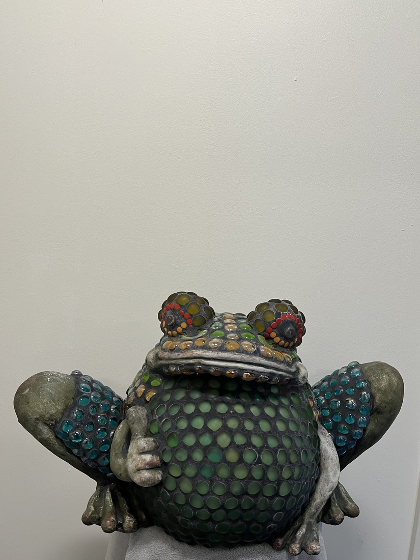 Kikker in korte broek