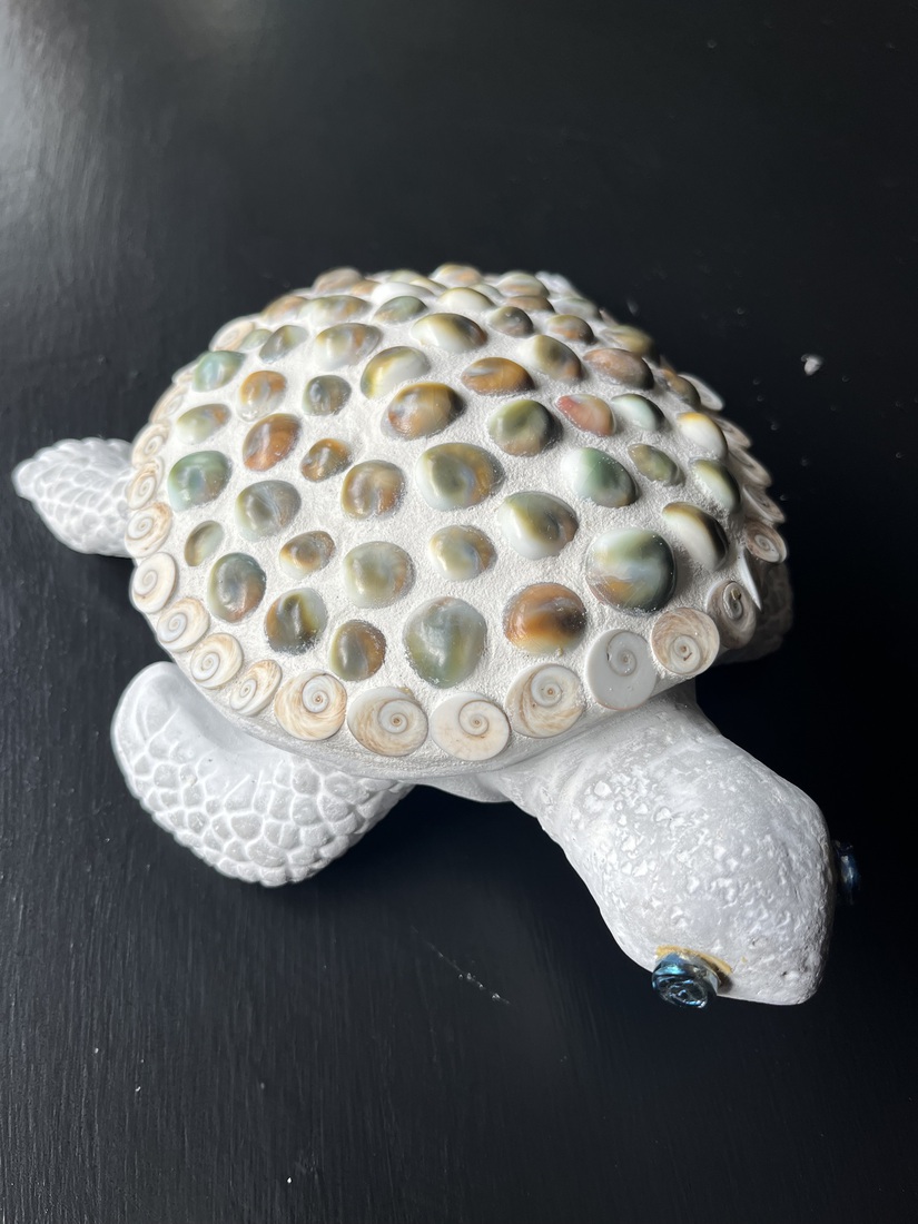 Schildpad beeld