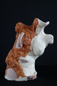 Een ode aan mensen die ondanks hun lichamelijke en/of geestelijke beschadiging de moed en kracht vinden om door te gaan.