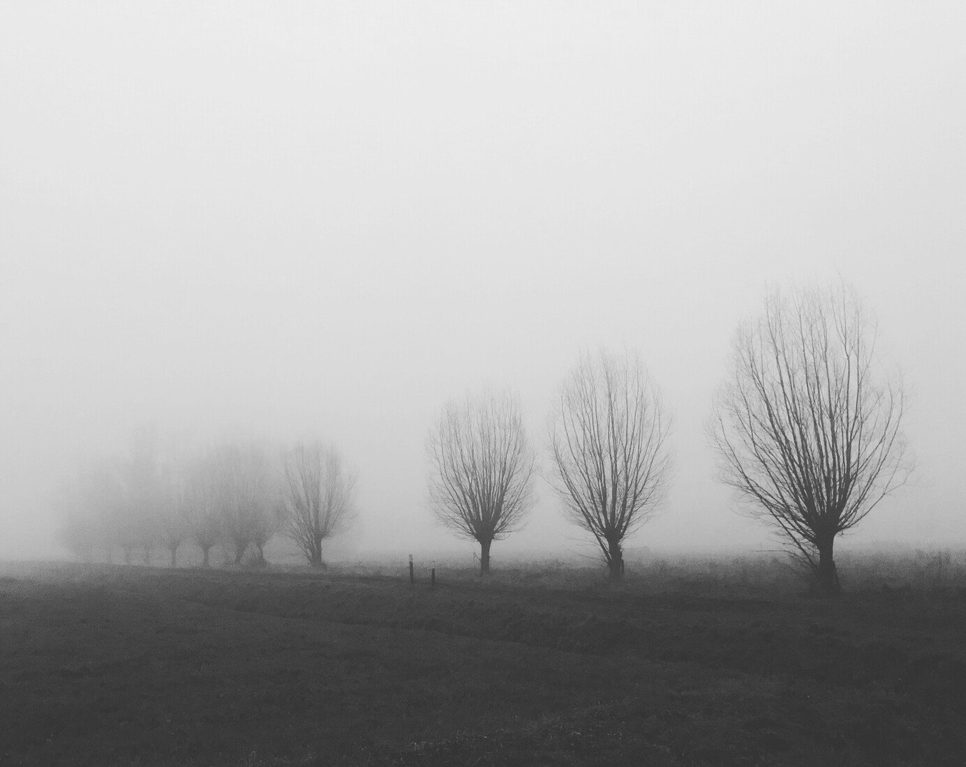 _nebel