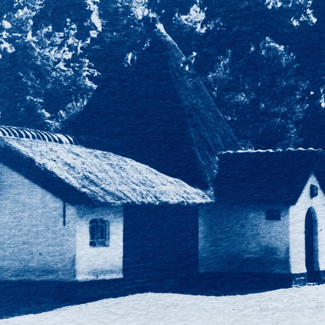 _hertenkamp I