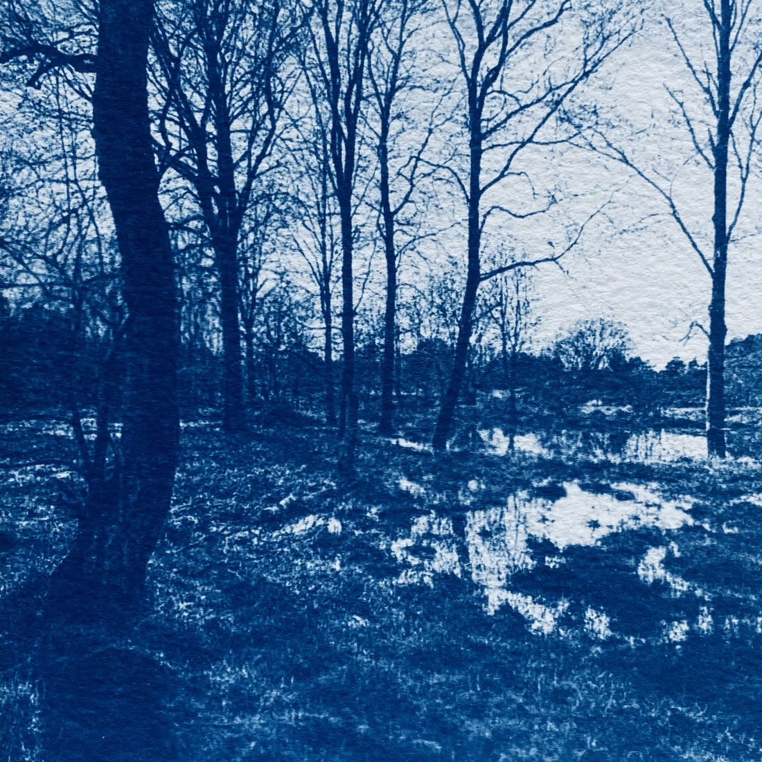 _duinwater