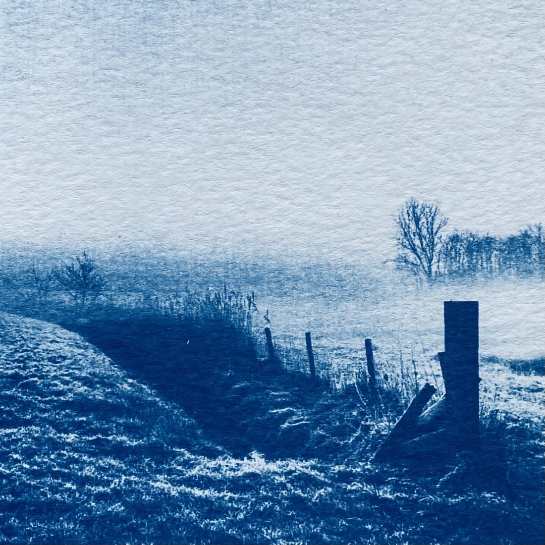 _Sluispolder in de winter