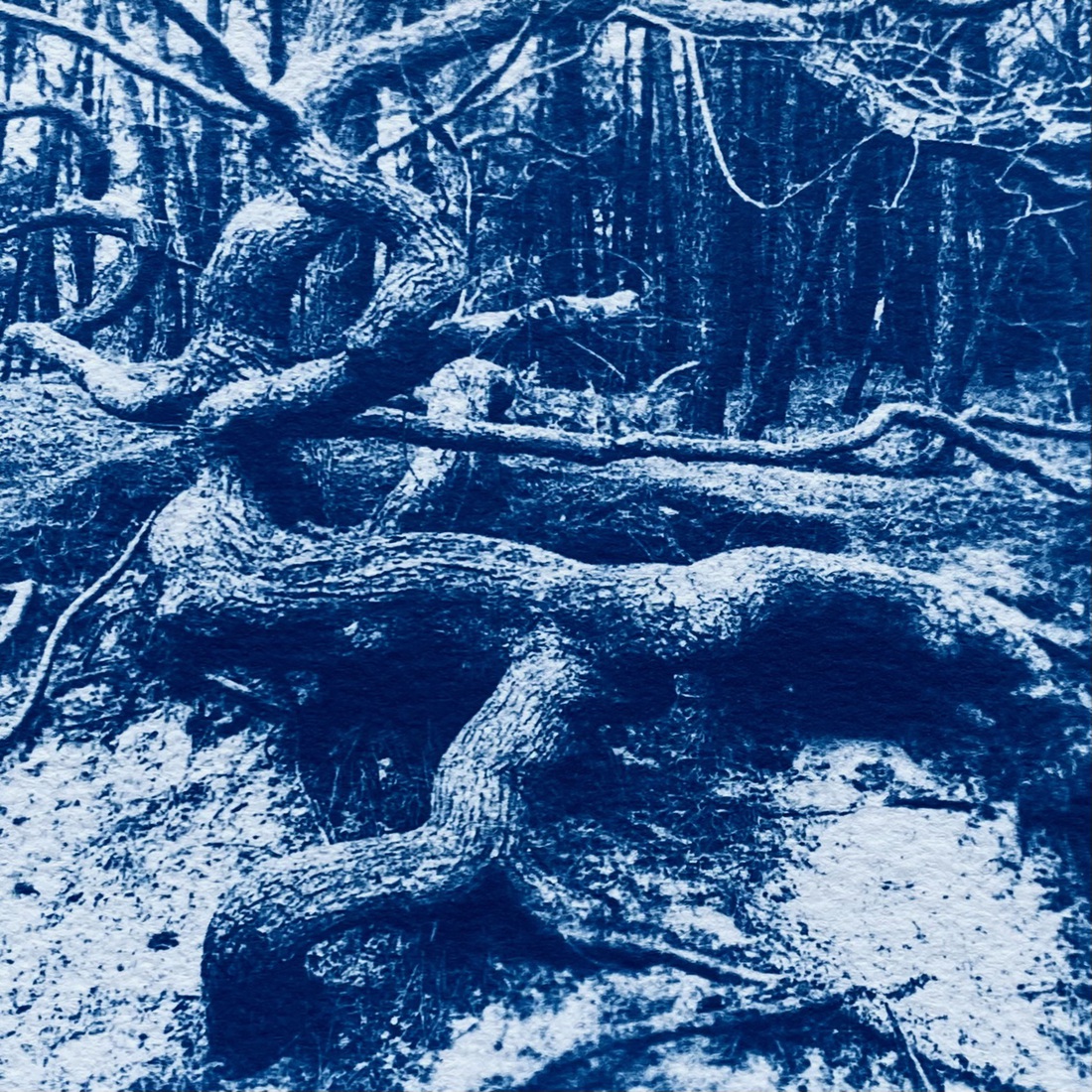 _kronkel