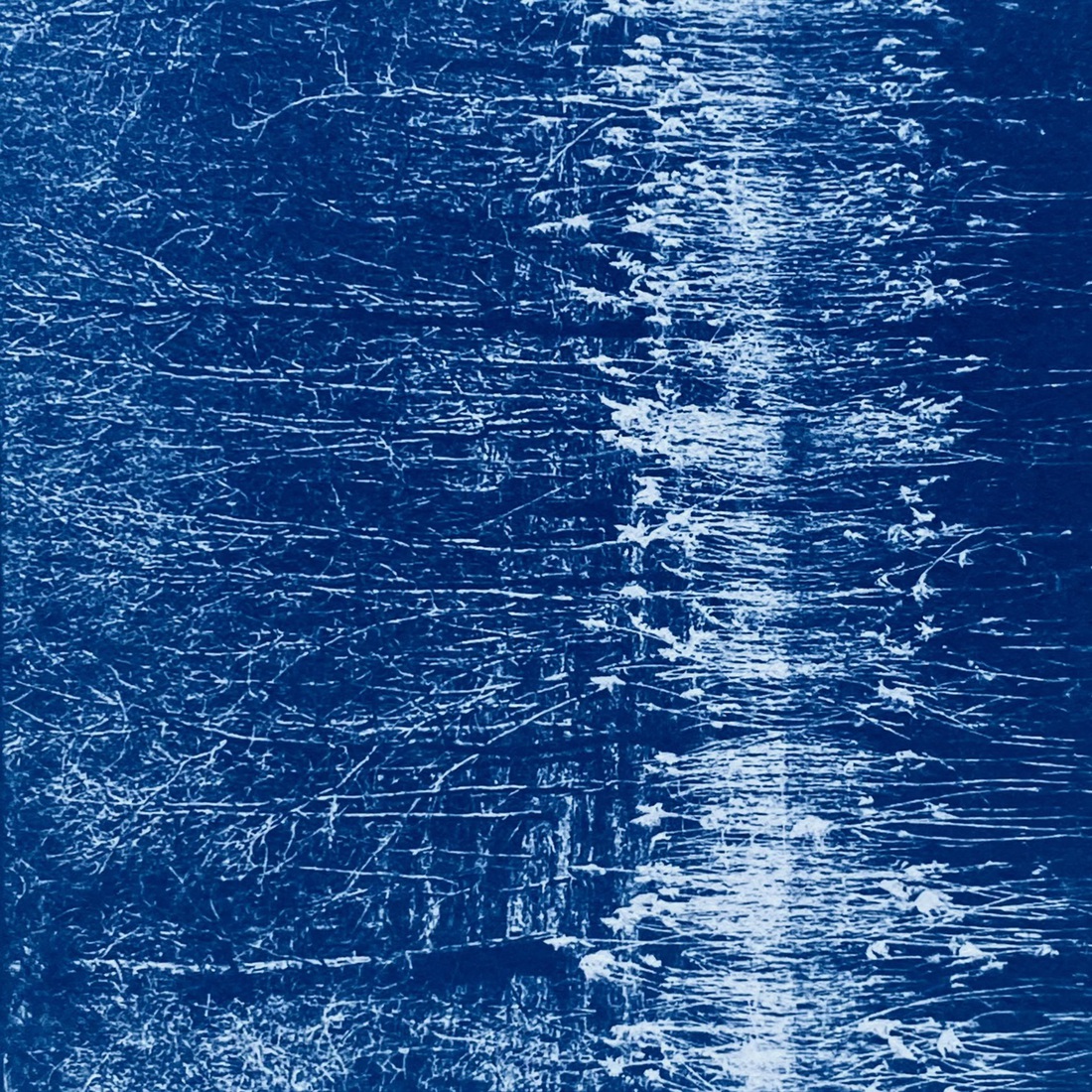 _riet 
