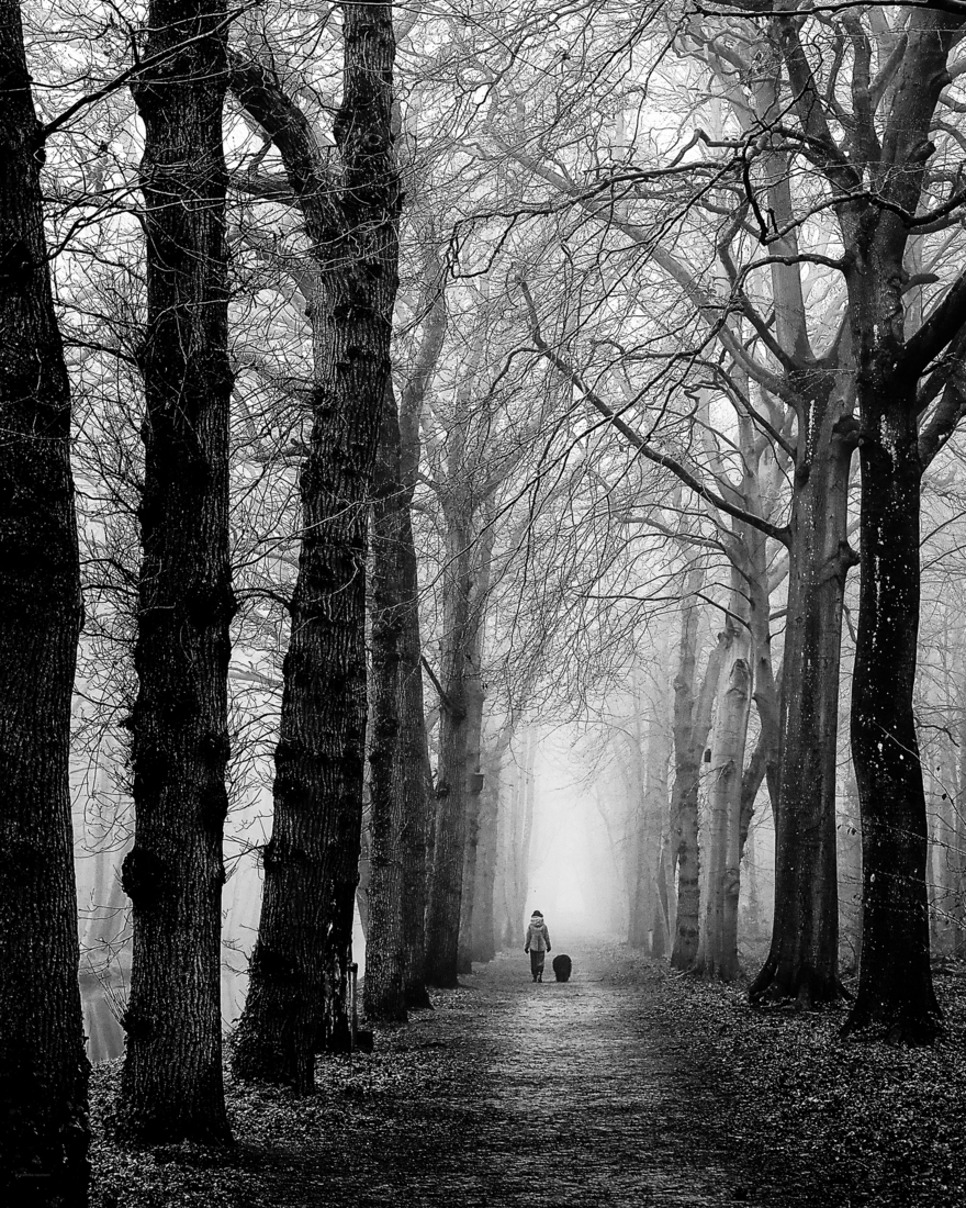 _mysterie 