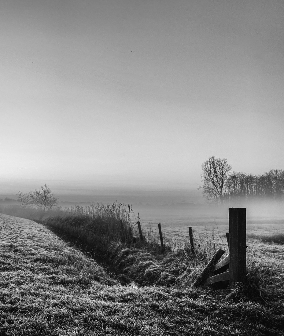 _januari