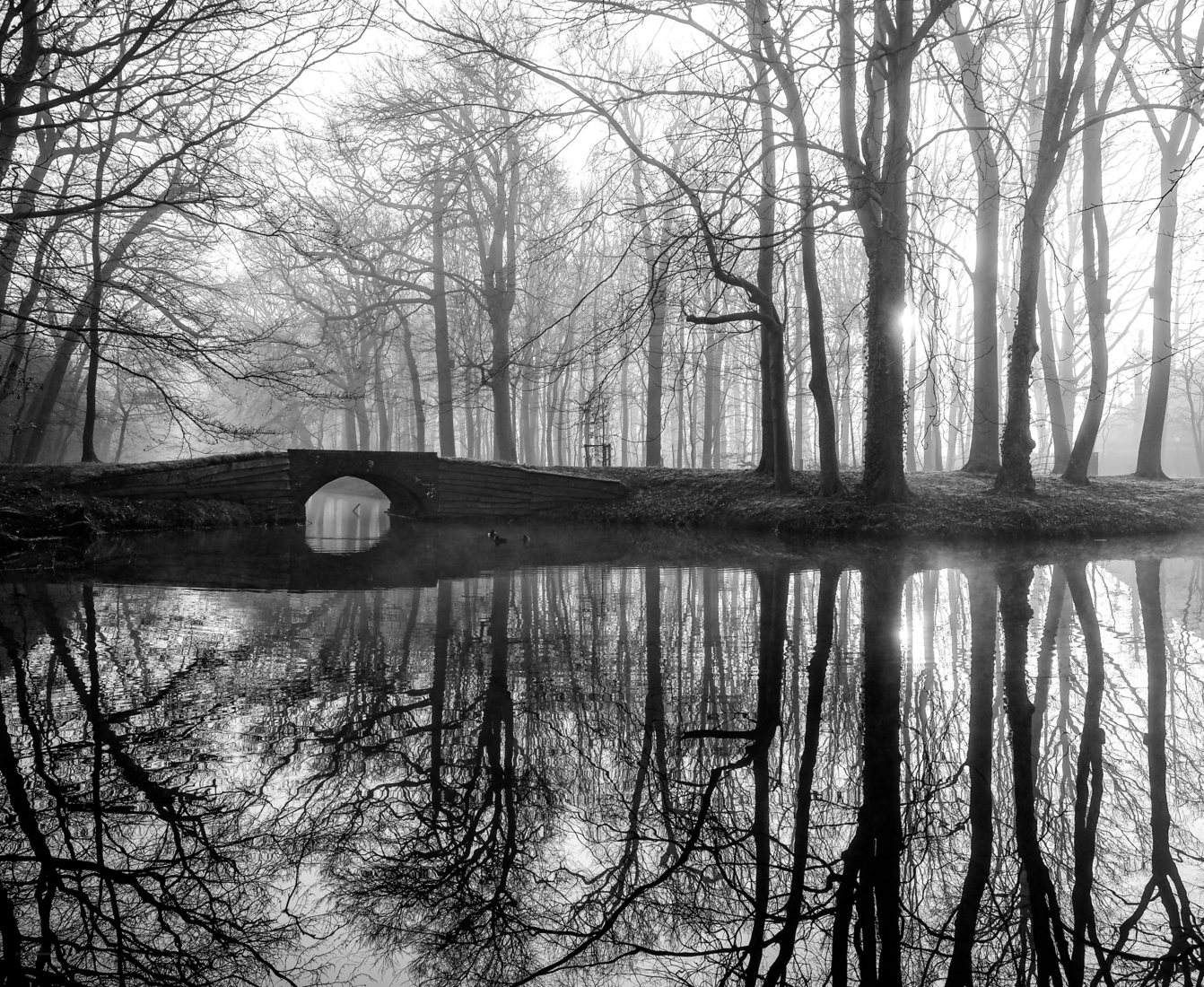 _maart