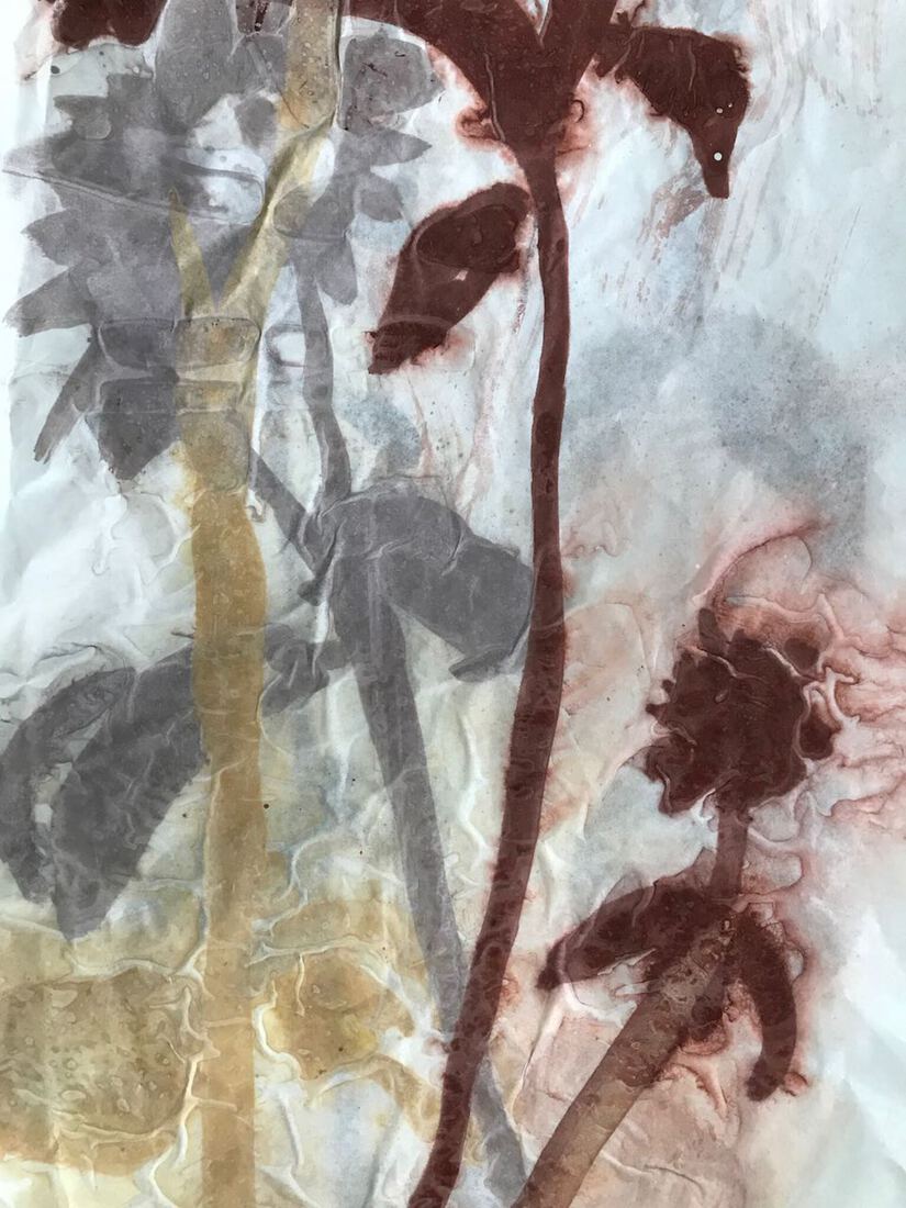 Van binnen gezien - 2