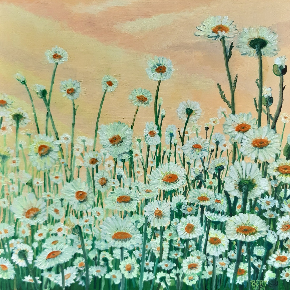 Margrieten 