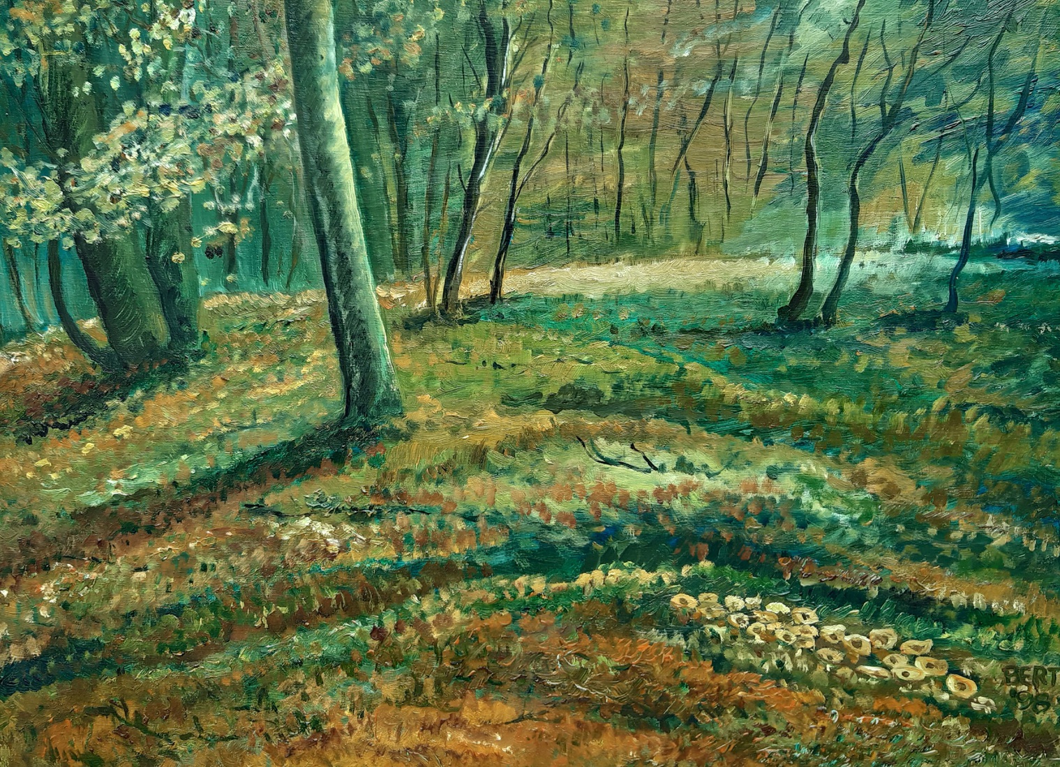Herfst in het bos