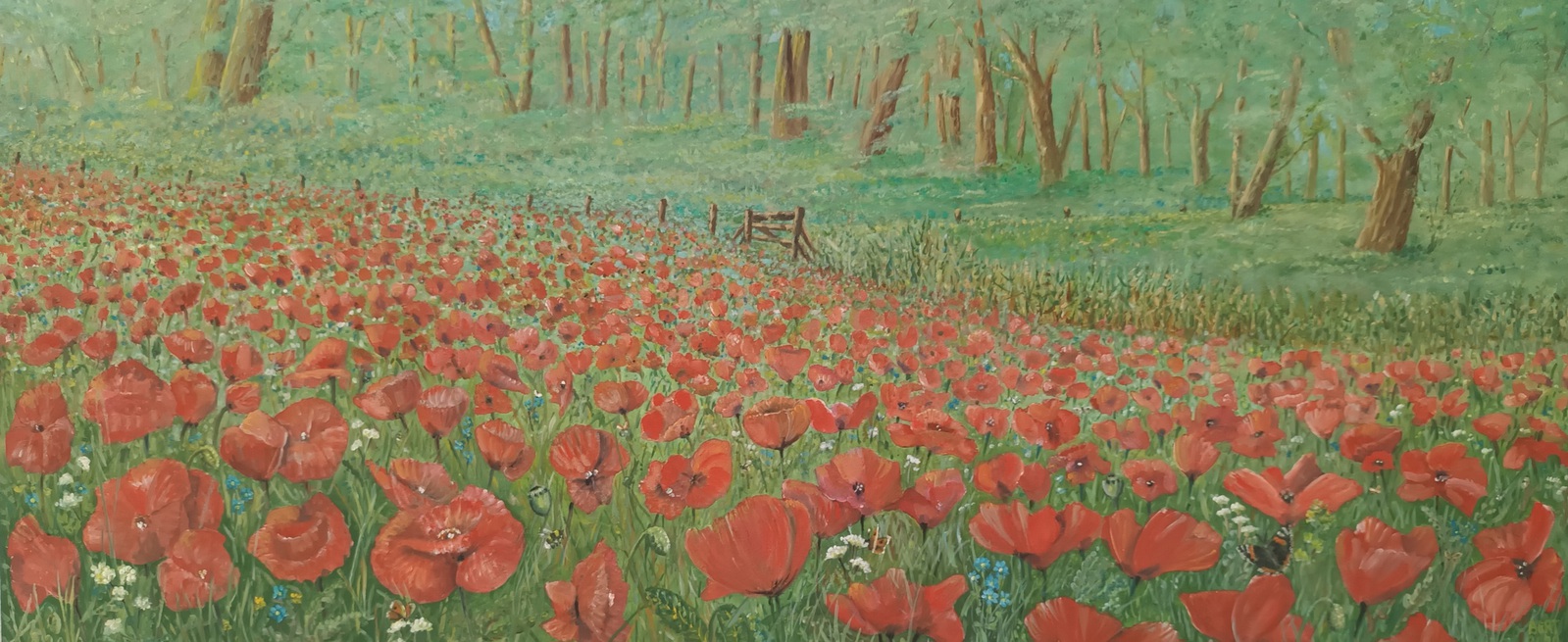Veld vol klaprozen. 