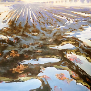 de sfeer van het landschap bepaald de uitvoering