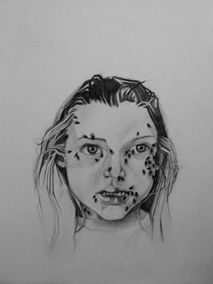 Brachycera (vliegen)