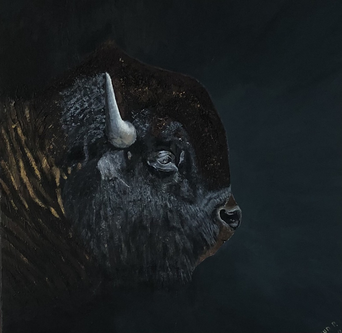 Bison 