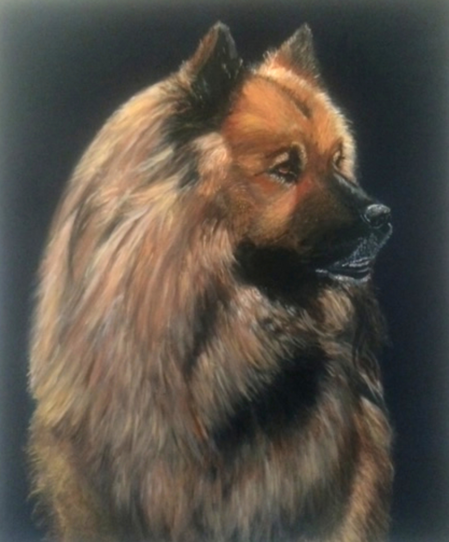 Justin, de Eurasiër