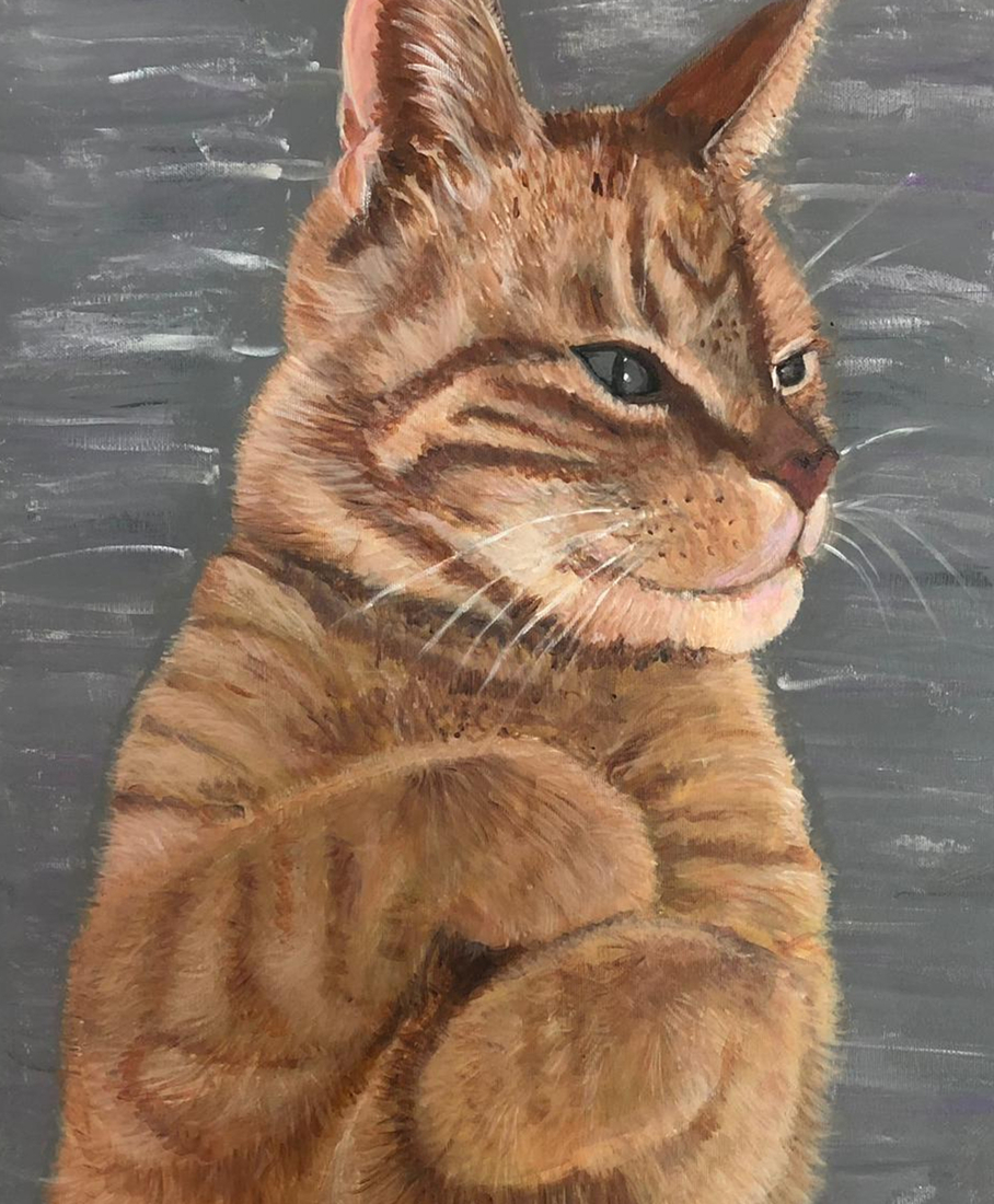 Tommie, de rode kater