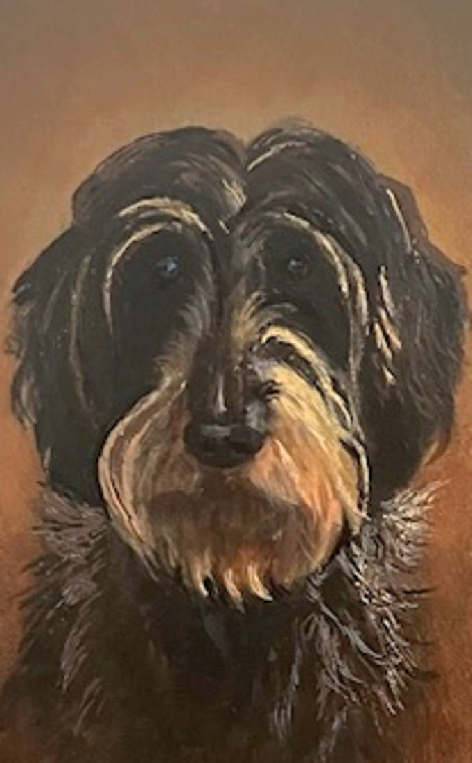 Groover, de ruwharige teckel