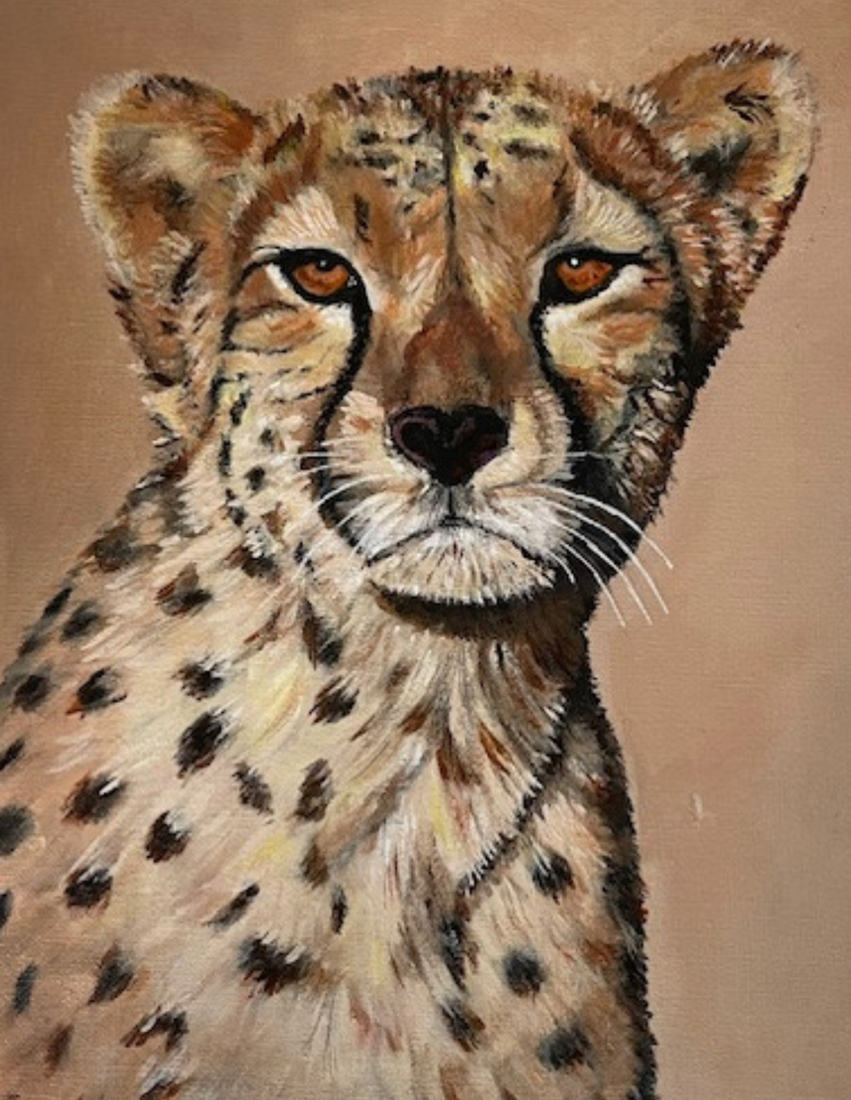 Afrikaanse Cheetah