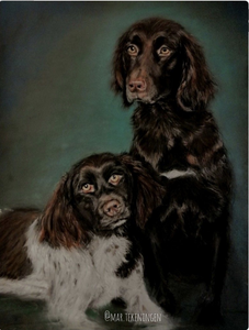 Een dieren portret pastel maak ik op pastelmat. Pastelmat is een zuurvrij karton met een fluweelachtig oppervlak. Ideaal voor pastelkrijt, pastelpotloden en panpastel. De pastel hecht hierop goed en laag voor laag ontstaat de tekening. Ik gebruik ook kwasten om te blenden. De tekening fixeer ik niet omdat ik dat ten koste vind gaan van de prachtige heldere kleuren. De tekening blijft achter glas goed beschermd. 

🔸De tekeningen zijn altijd met toestemming gepubliceerd
